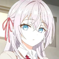 y/n
