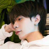 Quang Hùng Masterd