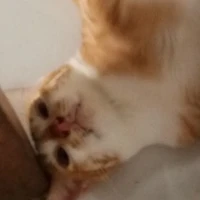 T/g