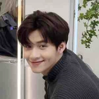 Hoàng Hùng-Hùng Huỳnh Gemini