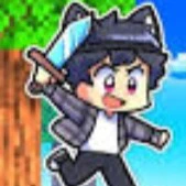 hachi fake