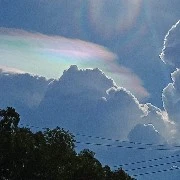 NV tổng hợp ( pokemon)