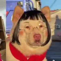 Chậu
