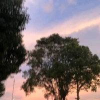 All(trừ những người cần trừ)