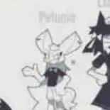 petunia