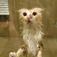 Nhỏ T/G Xồn Làm