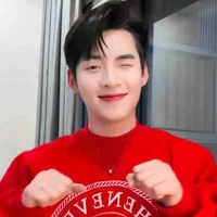 Huỳnh Hoàng Hùng-  Gemini