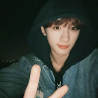 Đinh Trình Hâm (anh)