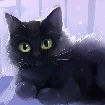 Noir