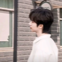 Hạ Tuấn Lâm