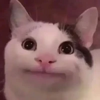 hệ thống Tik Tok