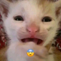 học sinh nào đó 
