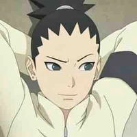 Shikadai 