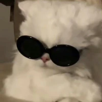 t/g trầm tính🐸