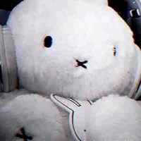 Không xác định/Endy /