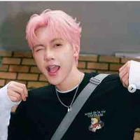 Nguyễn Thái Sơn-Jsol-