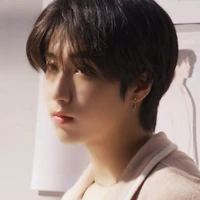 Han Jisung ( loài sóc )