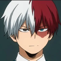 todoroki shoto