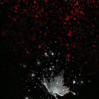 (Alan & shinji & kj) 3 con báo