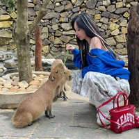 @𝘀𝗮𝗮𝗯𝗶𝗿𝗼𝘀𝗲