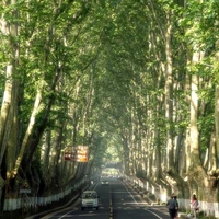 Nhiều NV