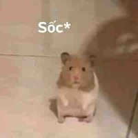 T/g