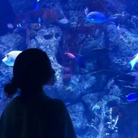 Harry Si mỏ hỗn tới đây 💫