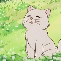 Mimi