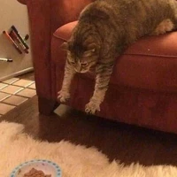 Tác giả đây!!