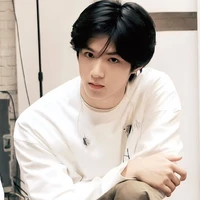 Lưu Diệu Văn ( Hắn )