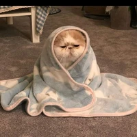 Nhỏ tg cute phô mai que