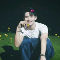 Huỳnh Hoàng Hùng - Gemini