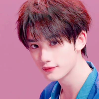 Đinh Trình Hâm
