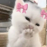 con tác giả bị khùm=)))))