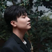 Phạm Anh Duy ( PAD )