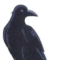 Quạ Kasugai (Nói chung)