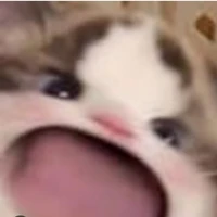 T/G ♡lười♡( Hanna)