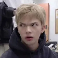 t/giả là tôii