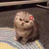Gấuz nè