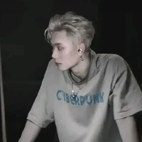 Trần Đăng Dương-E