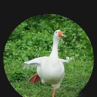Xàm