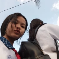 bảo thi