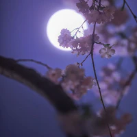 nên có ai thì có , nên trừ ai thì trừ