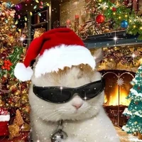 bảnh đi chơi noel 