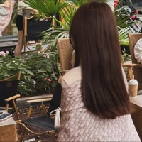 Hydrangea- tác giả-