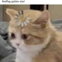 nv tổng hợp nam/nữ