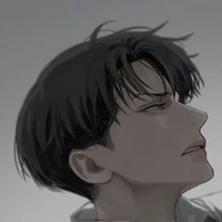 Levi