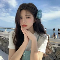 Lục Anh Tú