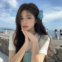 Lục Anh Tú