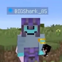 Bigshark